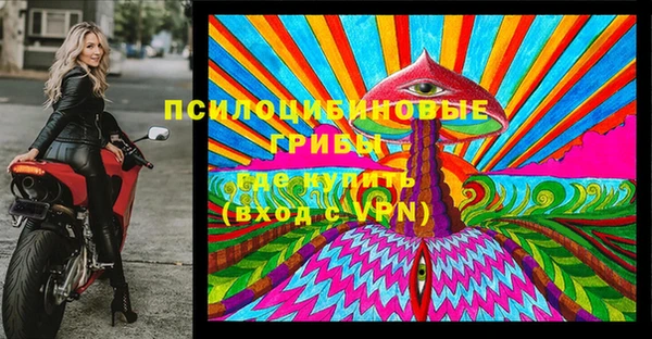 Альфа ПВП Вязьма