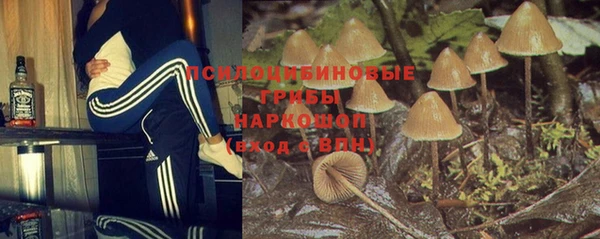 твердый Вязники