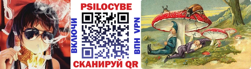 Купить закладки  Таштагол  Псилоцибиновые грибы мицелий 